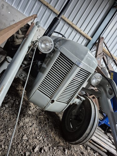 Grey ferguson flash tractor - ferguson,